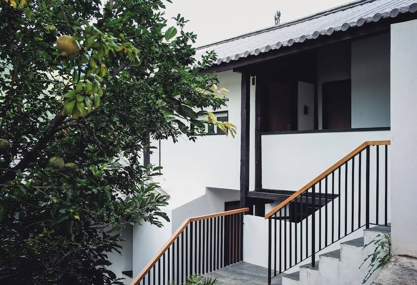 בית מלון כפרי Lux Tea Horse Road Stone Town