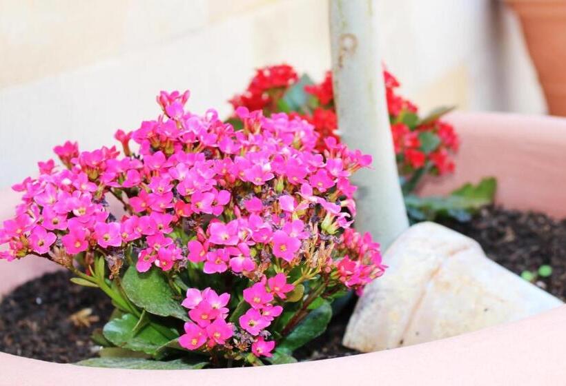 בית מלון כפרי Rural Molino Del Albaicín