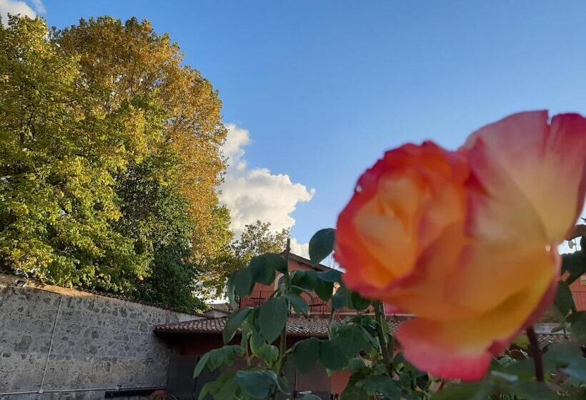 ペンション Affittacamere Il Tiro A Segno