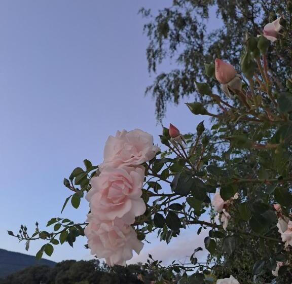 ペンション Affittacamere Il Tiro A Segno