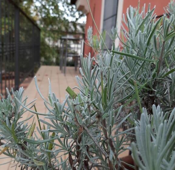 ペンション Affittacamere Il Tiro A Segno