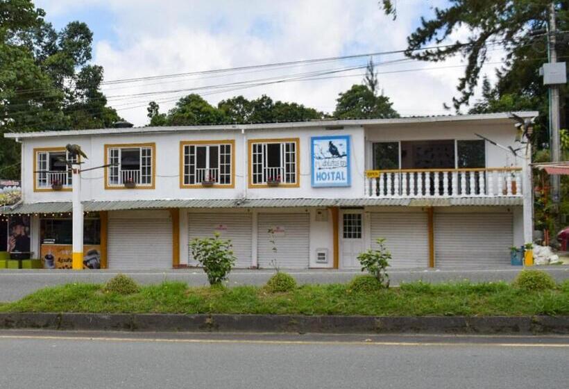 Пансион Hostal Mochileros Inn