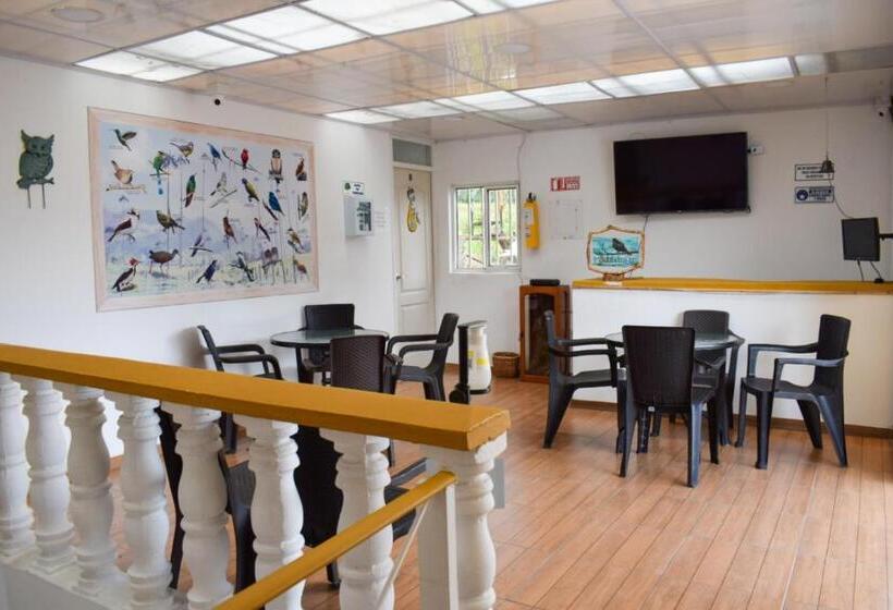 Пансион Hostal Mochileros Inn