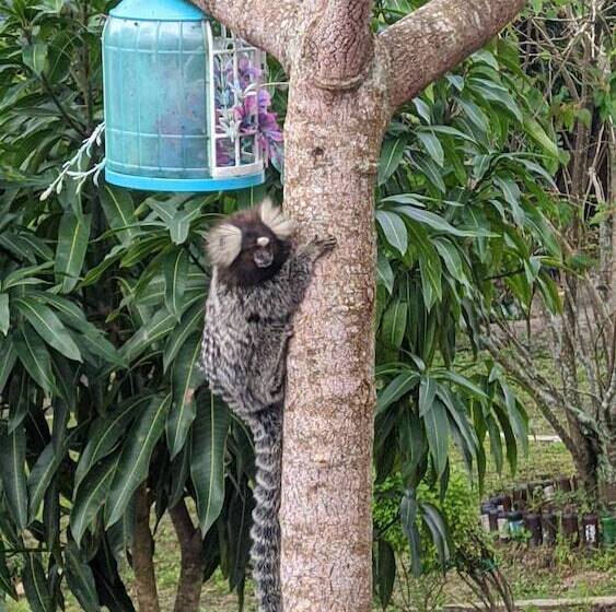 펜션 Pousada Viana