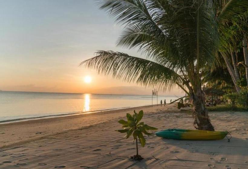 펜션 Room In Lodge  Where The Colour Of Midnight And Sunrise Combined At Koh Phangan