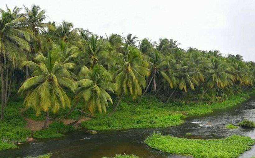 Пансион Royal Cottage, Anaimalai Room 5