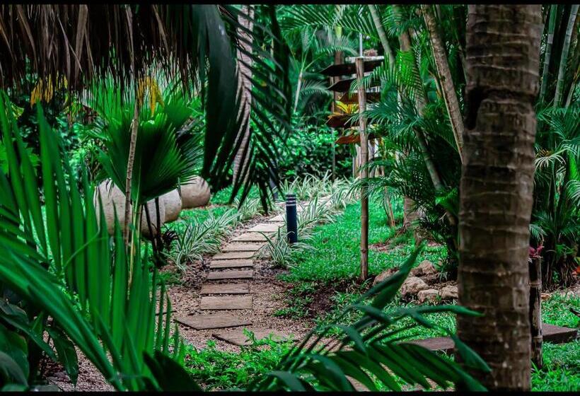Villas Pura Vibra