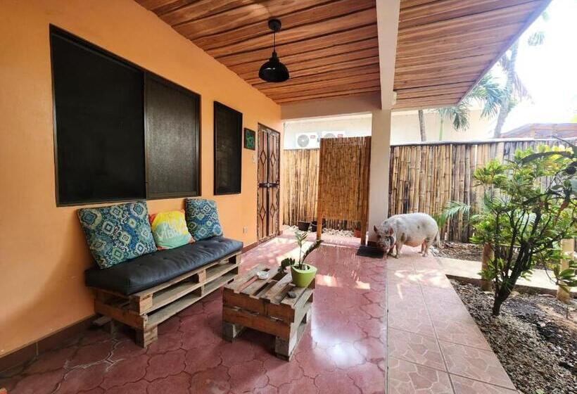 Villas Pura Vibra