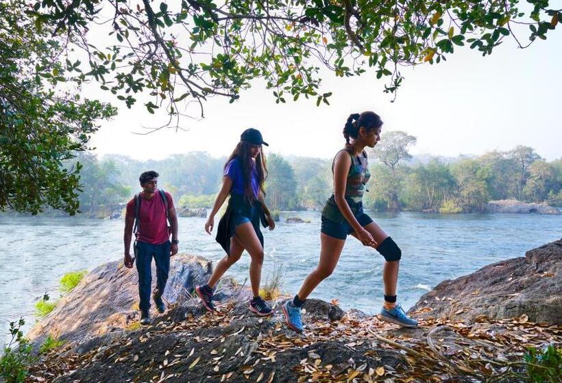 Whistling Woodzs Resort