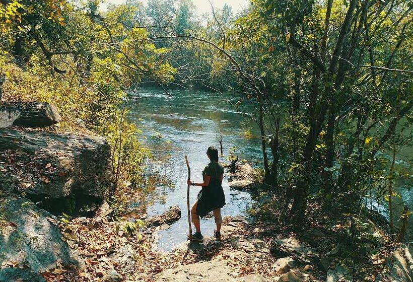 Whistling Woodzs Resort