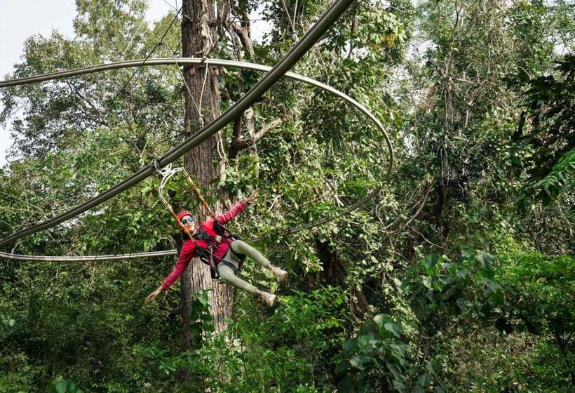 Whistling Woodzs Resort