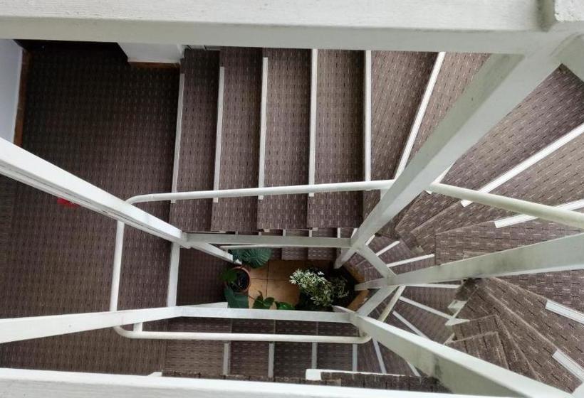 הוסטל La Conu Iancu