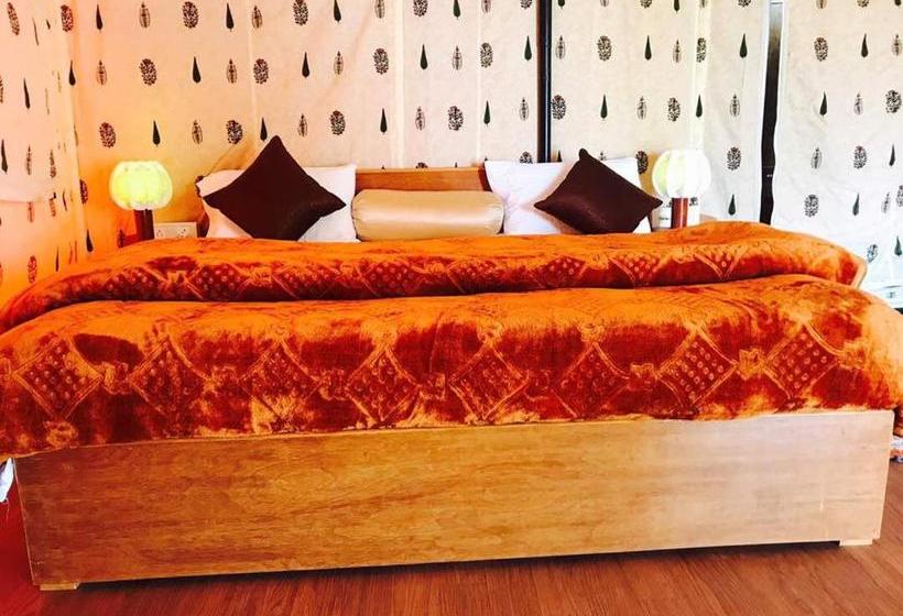 Bay Berry Camp & Resort