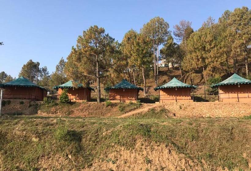 Bay Berry Camp & Resort