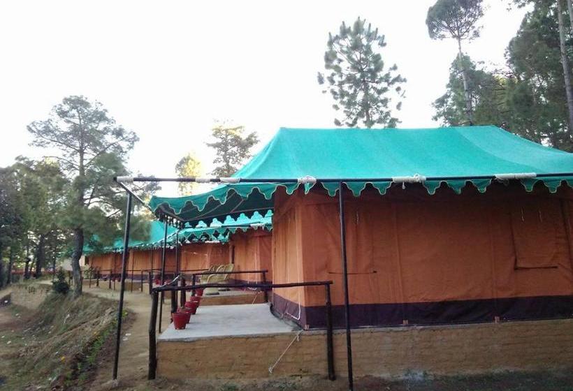 Bay Berry Camp & Resort