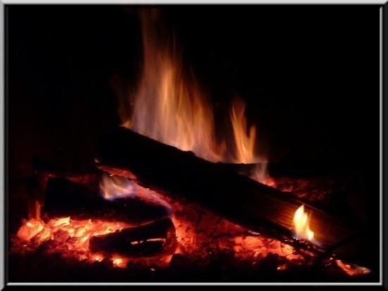 Bed and Breakfast Bergerie Du Prunelli