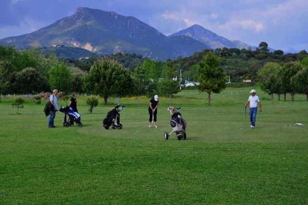Bed and Breakfast Bergerie Du Prunelli