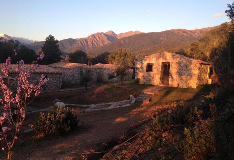 Bed and Breakfast Bergerie Du Prunelli
