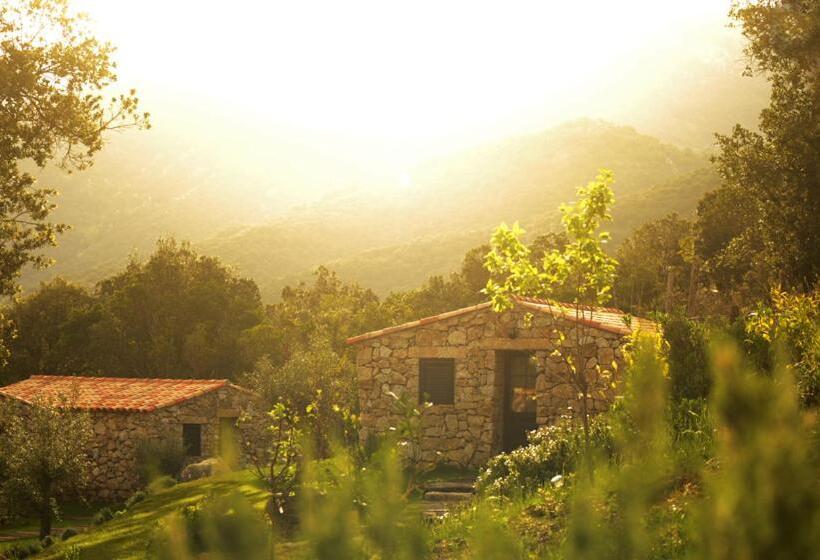 تختخواب و صبحانه Bergerie Du Prunelli