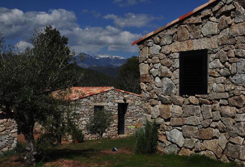 Bed and Breakfast Bergerie Du Prunelli