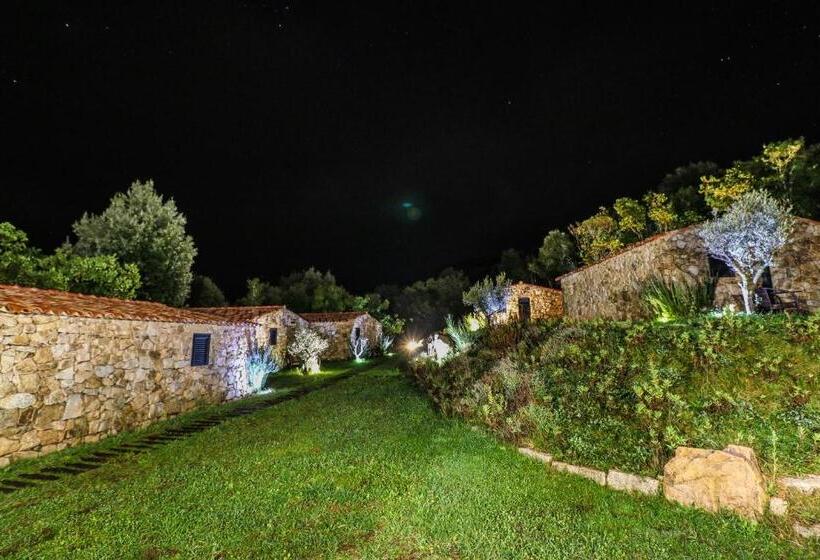 Bed and Breakfast Bergerie Du Prunelli