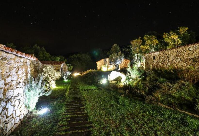 تختخواب و صبحانه Bergerie Du Prunelli