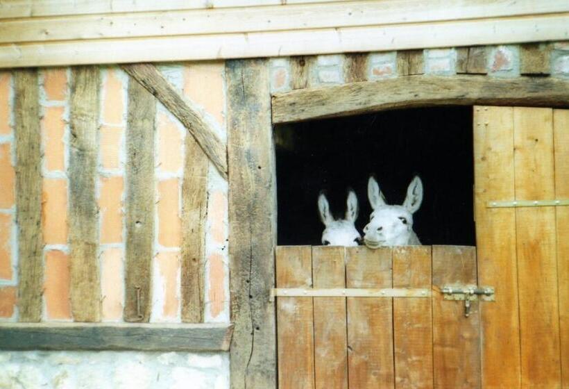 مبيت وإفطار Chambre Chez Corinne