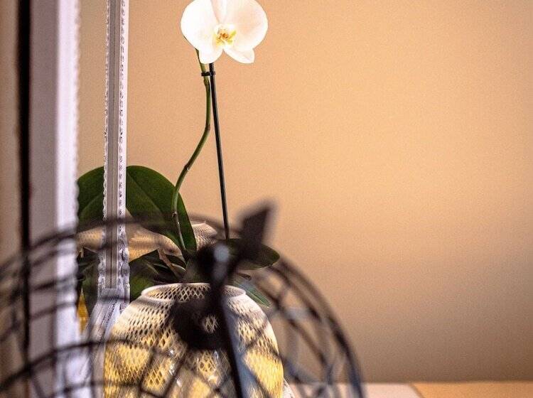 住宿加早餐 Clos Saintmartin