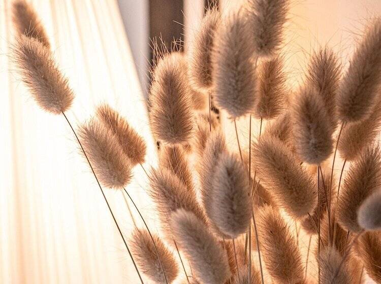 住宿加早餐 Clos Saintmartin