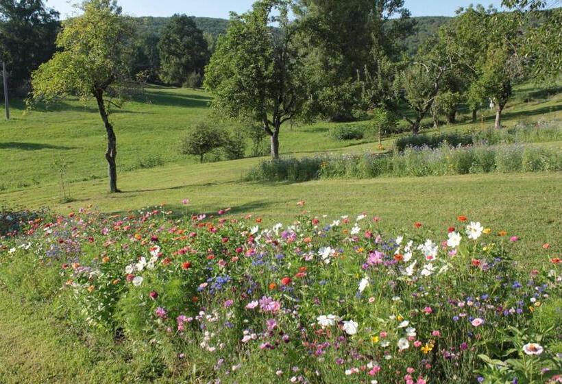 Bed and Breakfast Domaine Le Broual