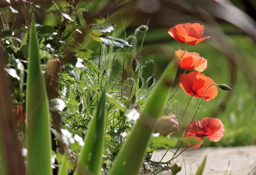 Bed and Breakfast Domaine Le Broual