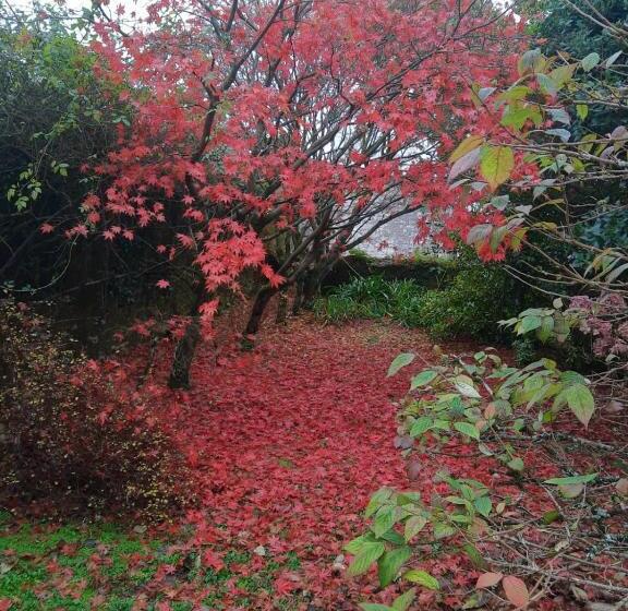 צימר Kilmahon House, P25a973