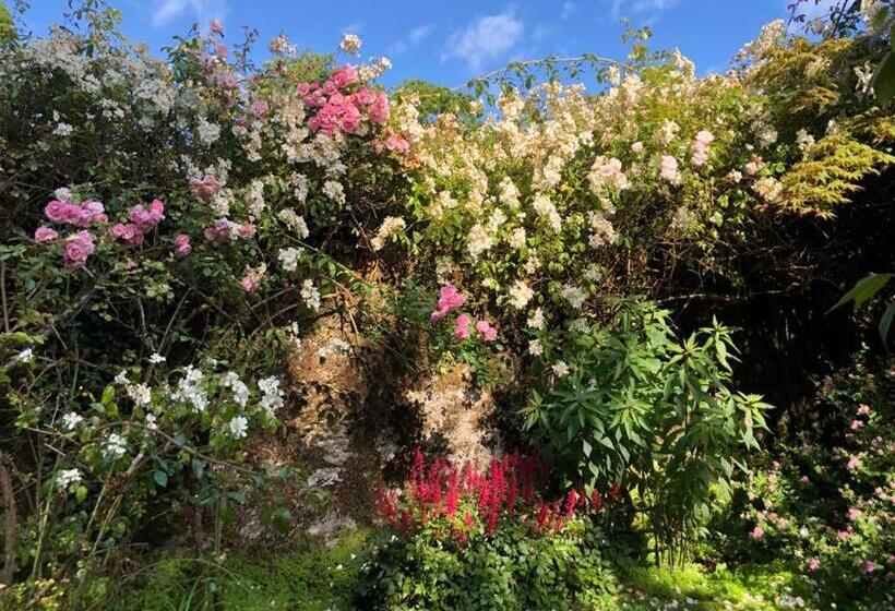 צימר Kilmahon House, P25a973