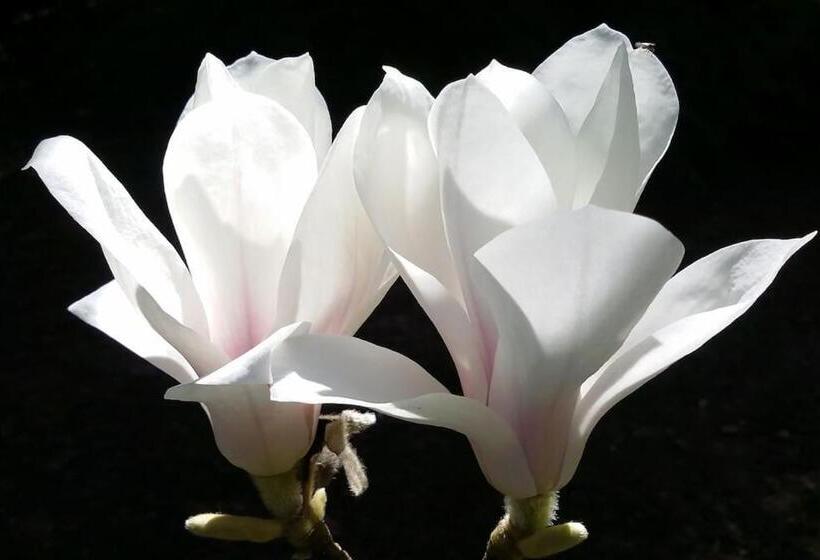 مبيت وإفطار Maisonmazerand