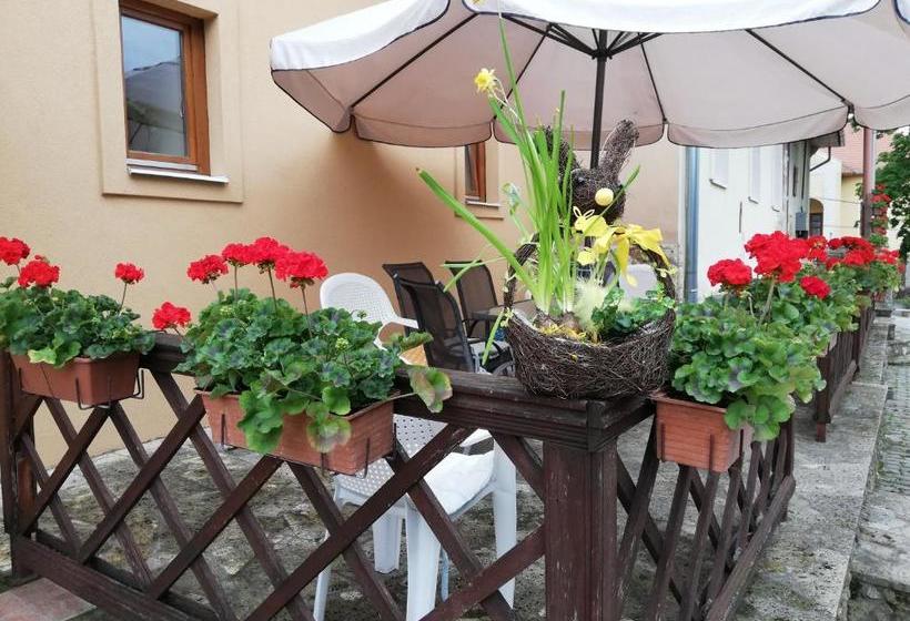 צימר Olze Panzió