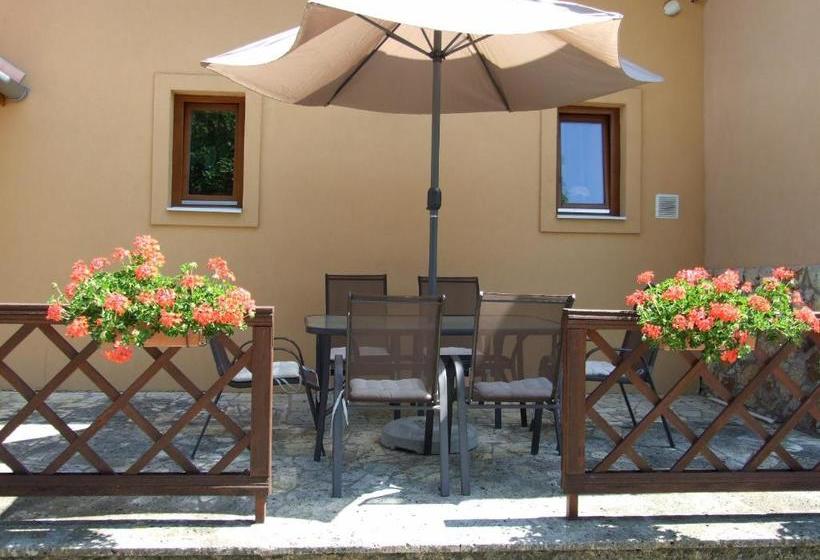 צימר Olze Panzió