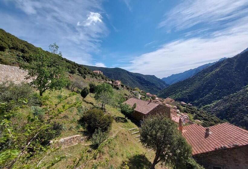 مبيت وإفطار Résidence E Cime Asco Locations De Studios Meublés
