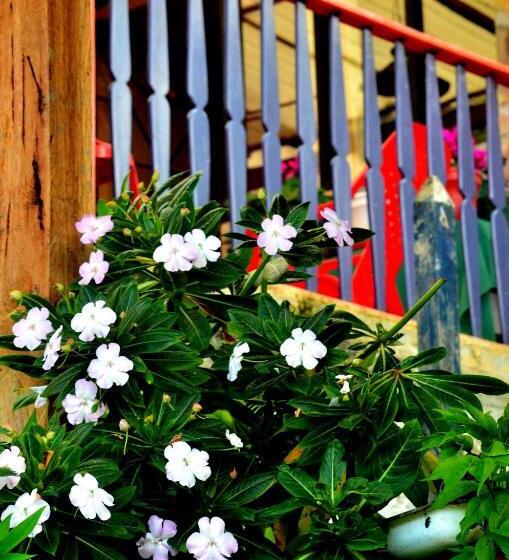 Cabana Hotel Eco Turistico El Eden