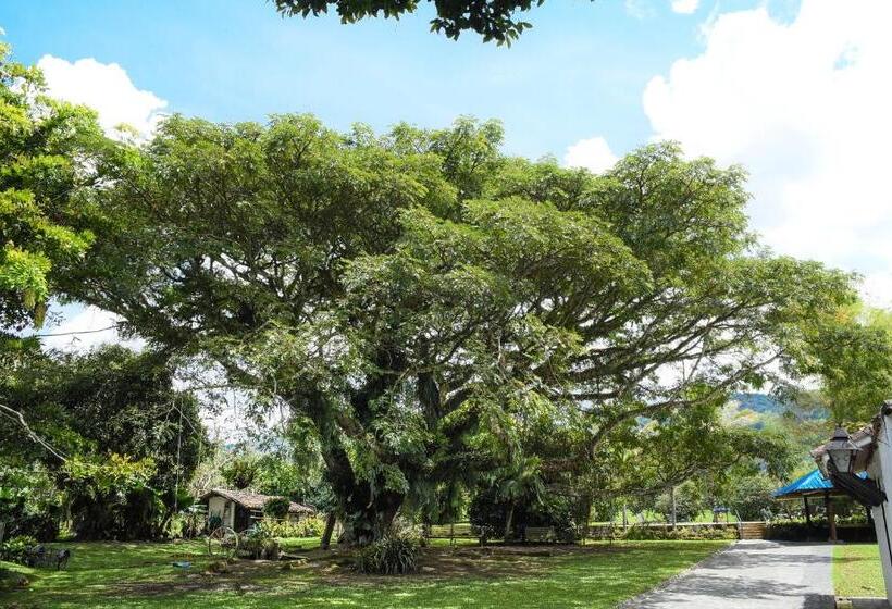 Eco Hotel Hacienda El Diamante