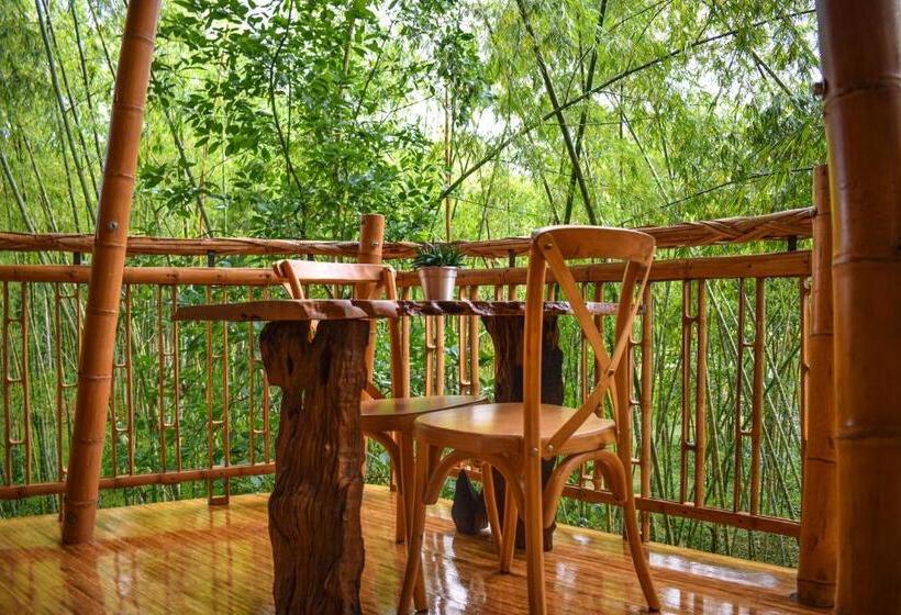 Eco Hotel Hacienda El Diamante