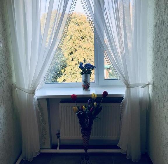 Hostel Marichka