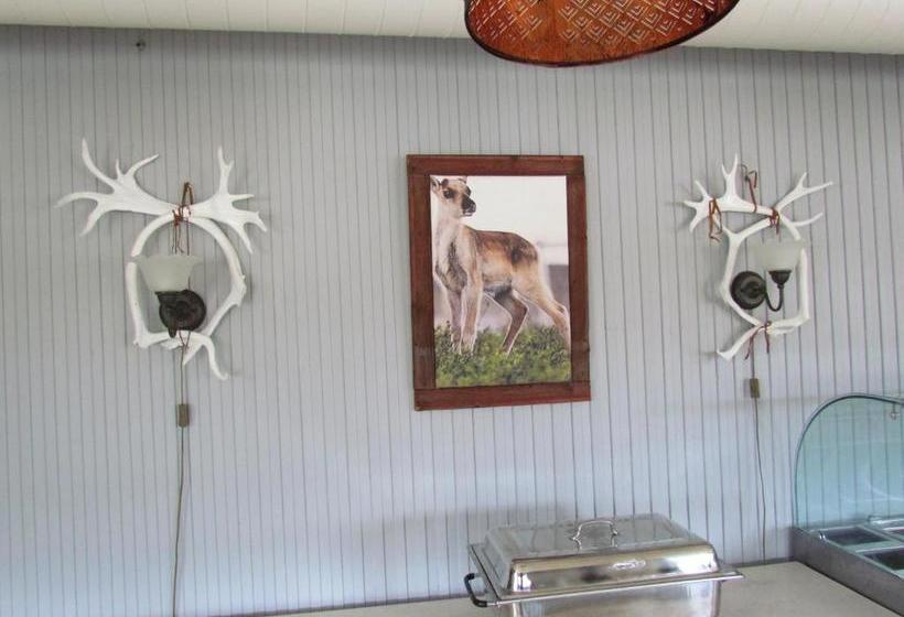 Ammarnäsgården Fjällhotell Och Vandrarhem