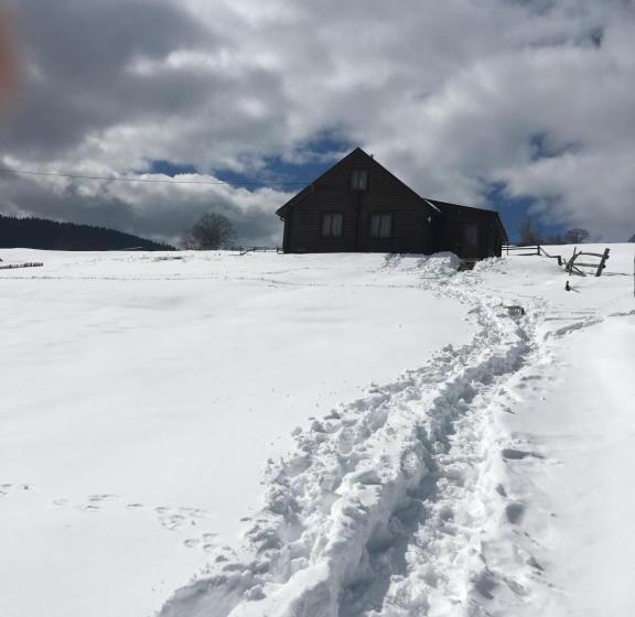 هتل Cottage Marko