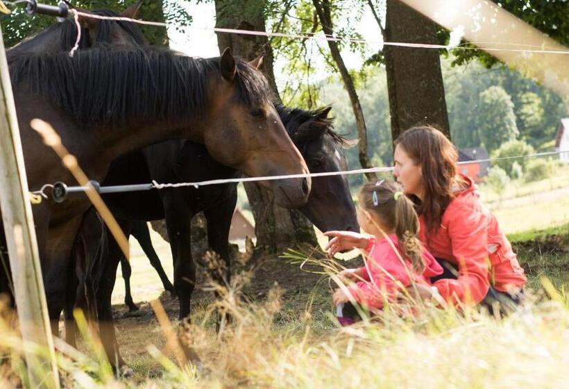 호텔 české žleby