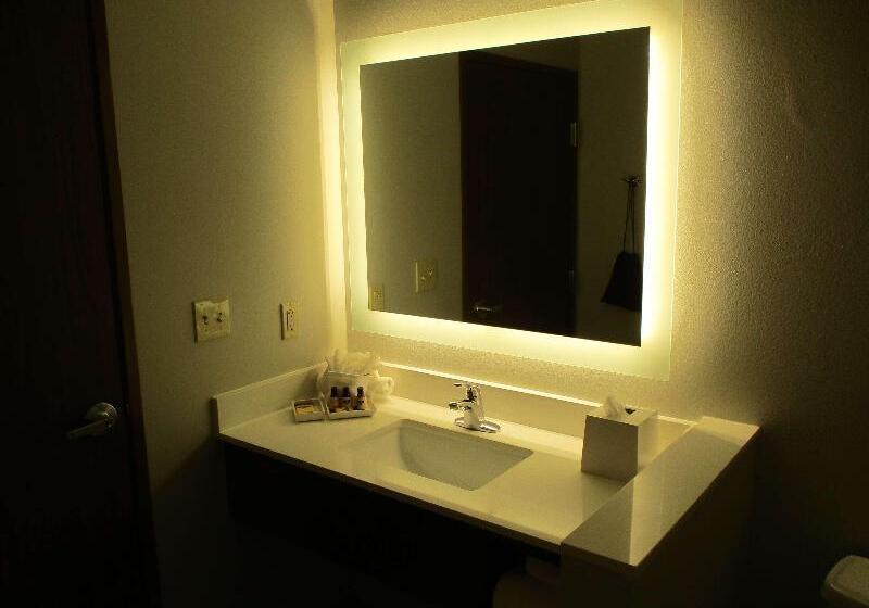 فندق La Quinta Inn & Suites By Wyndham Jackson Cape Girardeau