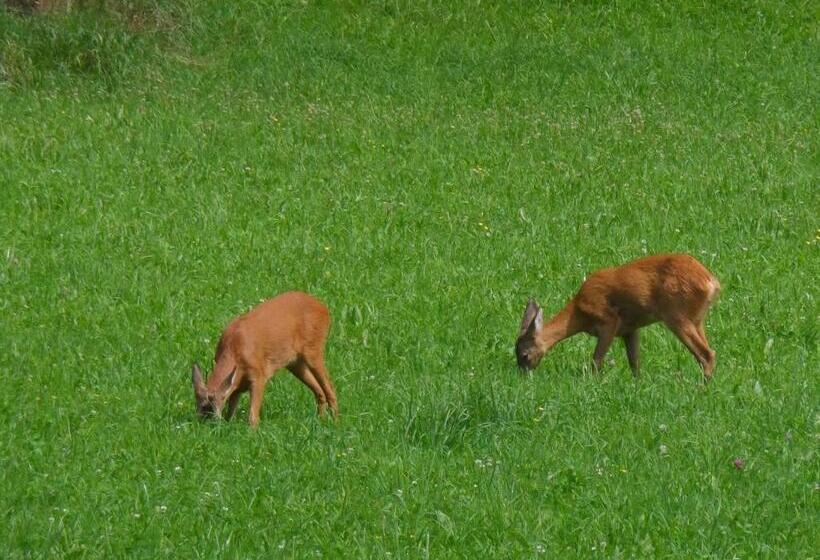 בית מלון כפרי Locus Malontina