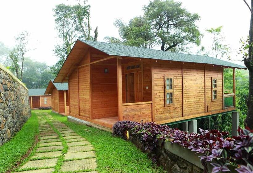 ホテル Misty Mountain Experience