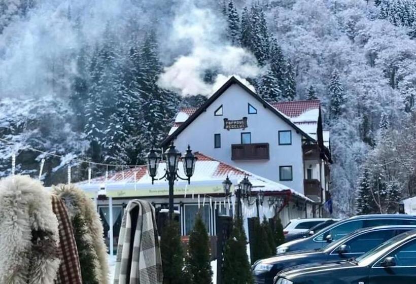酒店 Popasul Regelui Transalpina