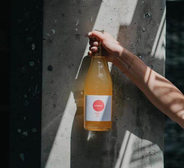 בית מלון כפרי Split