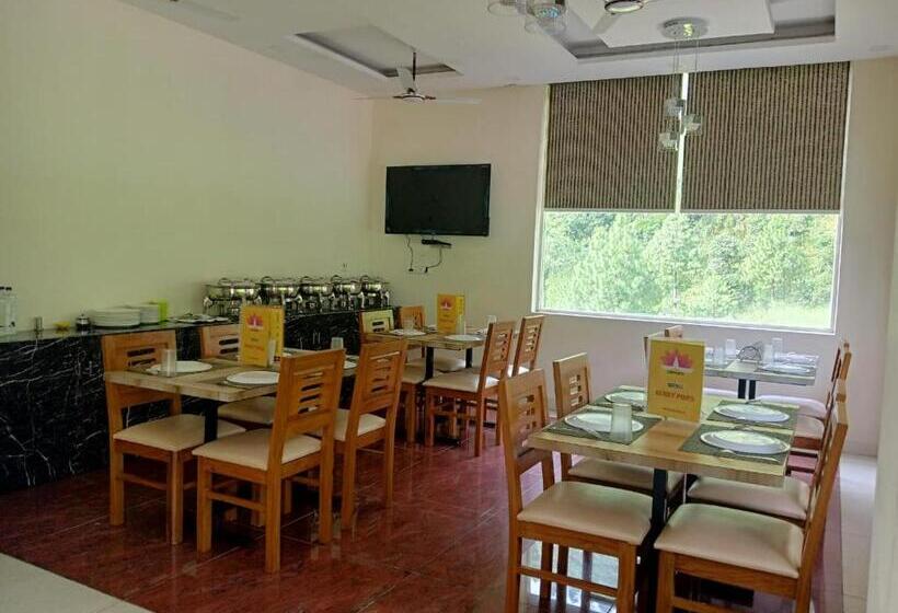 Отель Sunny Pines Resort